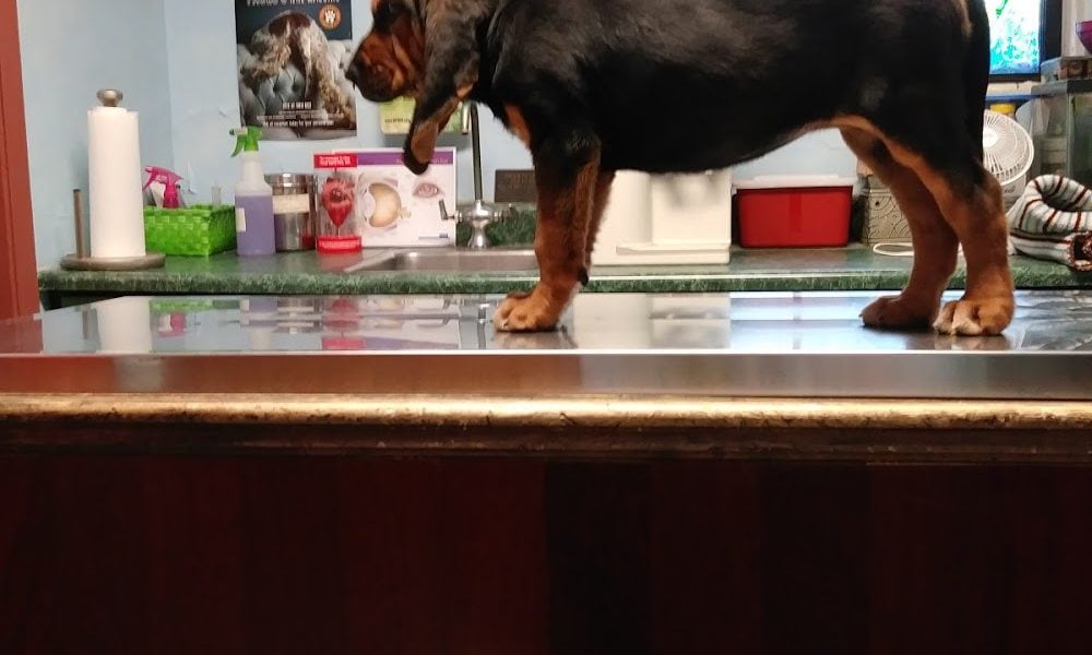 Altamonte Veterinary Hospital