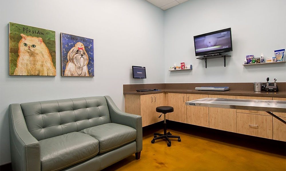 Animal Oasis Veterinary Hospital