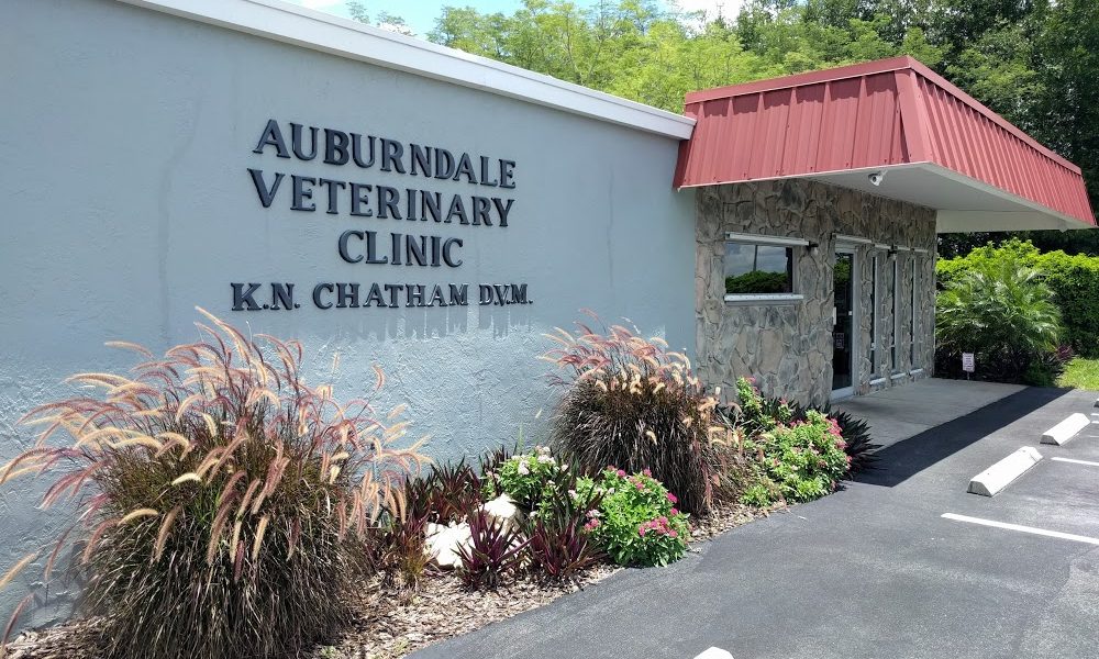 Auburndale Veterinary Clinic