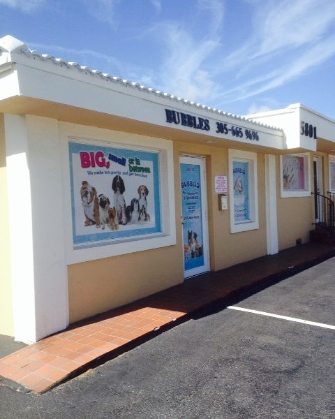 Bubbles Pet Grooming