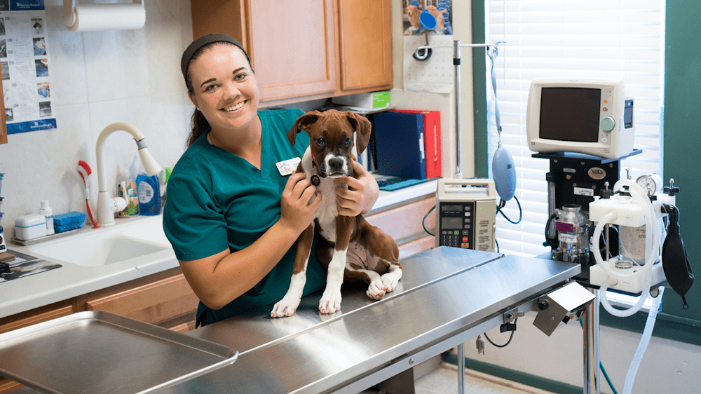 Cedar Bay Veterinary Clinic