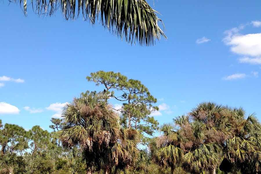 Erickson Point Partnership Ltd