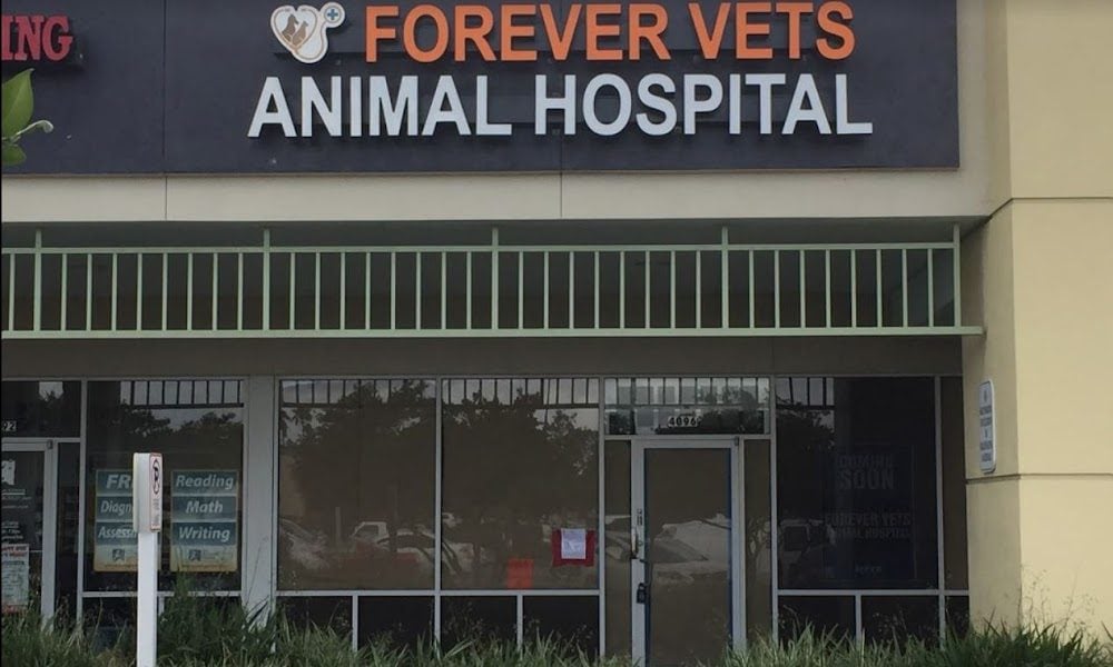 Forever Vets Animal Hospital at Hunters Creek