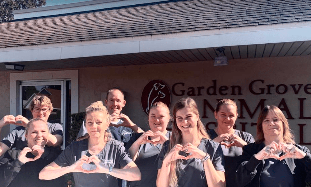 Garden Grove Animal Hospital