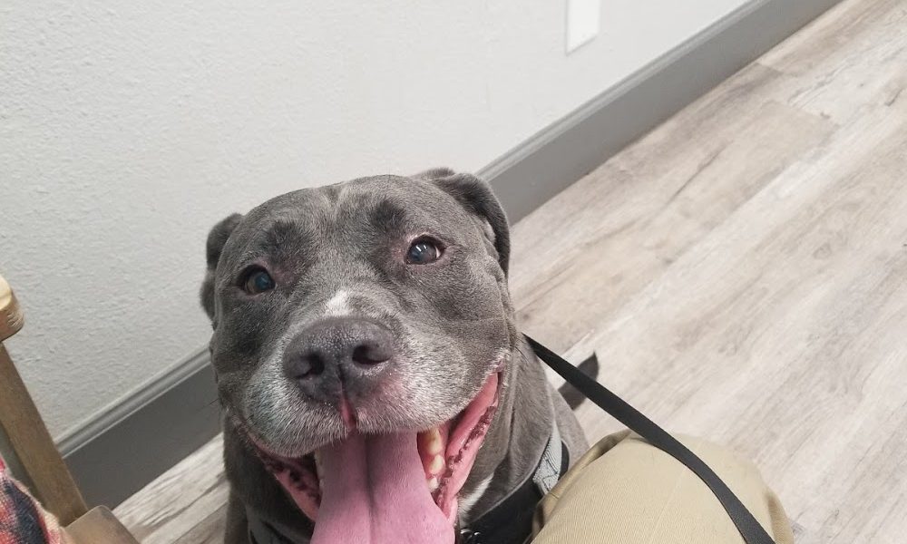 Glen Springs Veterinary Center