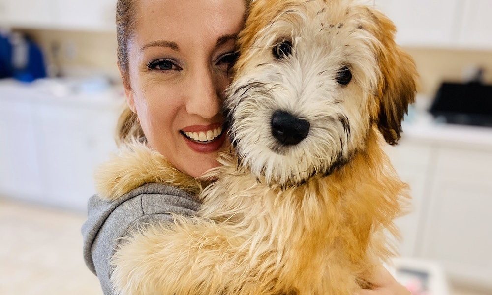 Grace Veterinary Center