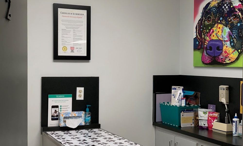 Hammocks Veterinary Hospital
