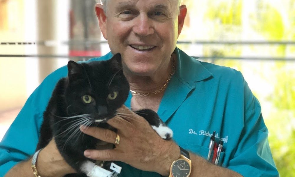 Kendall Animal Clinic