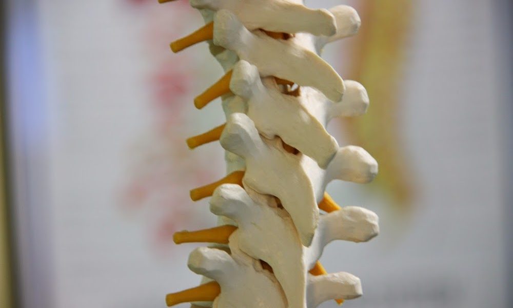 Miami Holistic Chiropractors