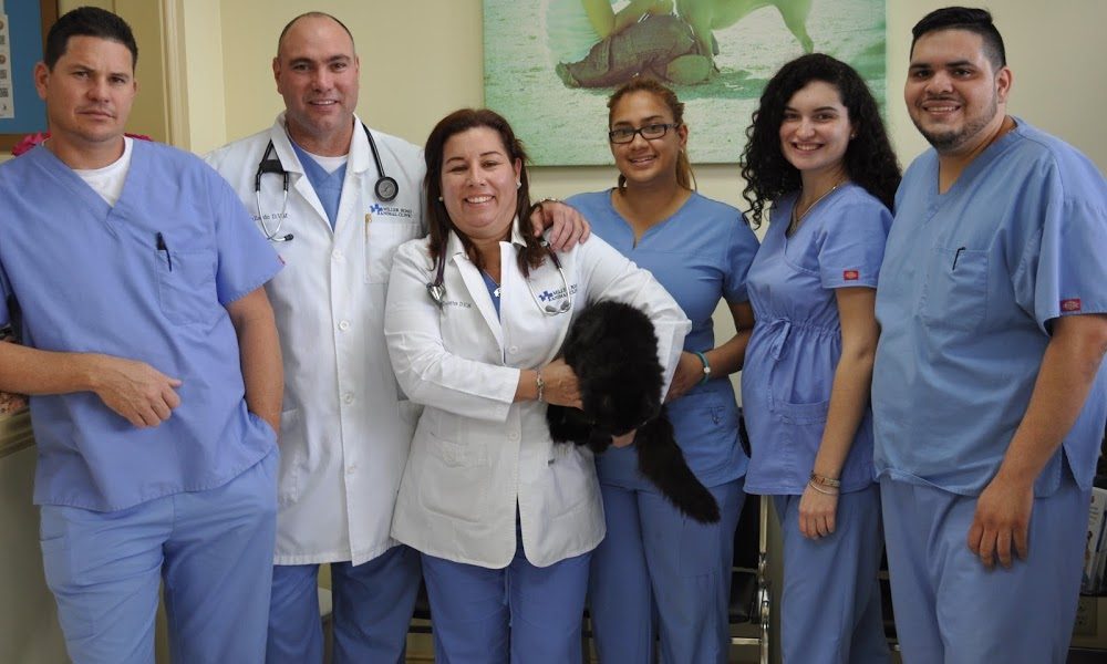 Miller Road Animal Clinic