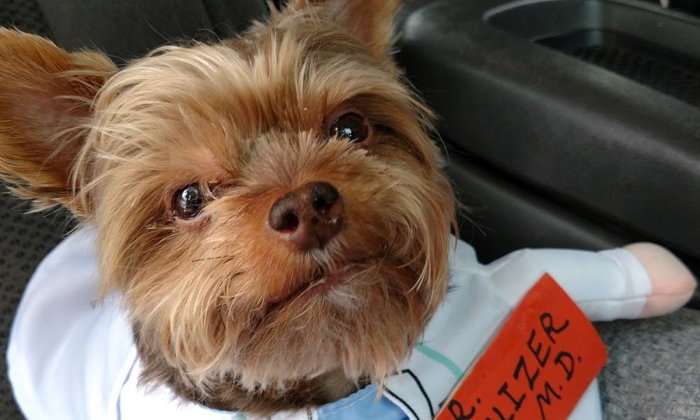 Narcoossee Animal Hospital