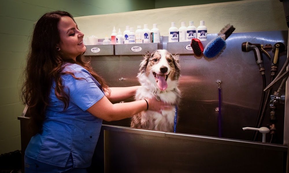 Oaks Veterinary Hospital