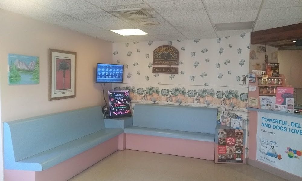 Old Cutler Animal Clinic