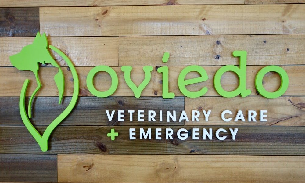 OVIEDO VETERINARY CARE AND EMERGENCY