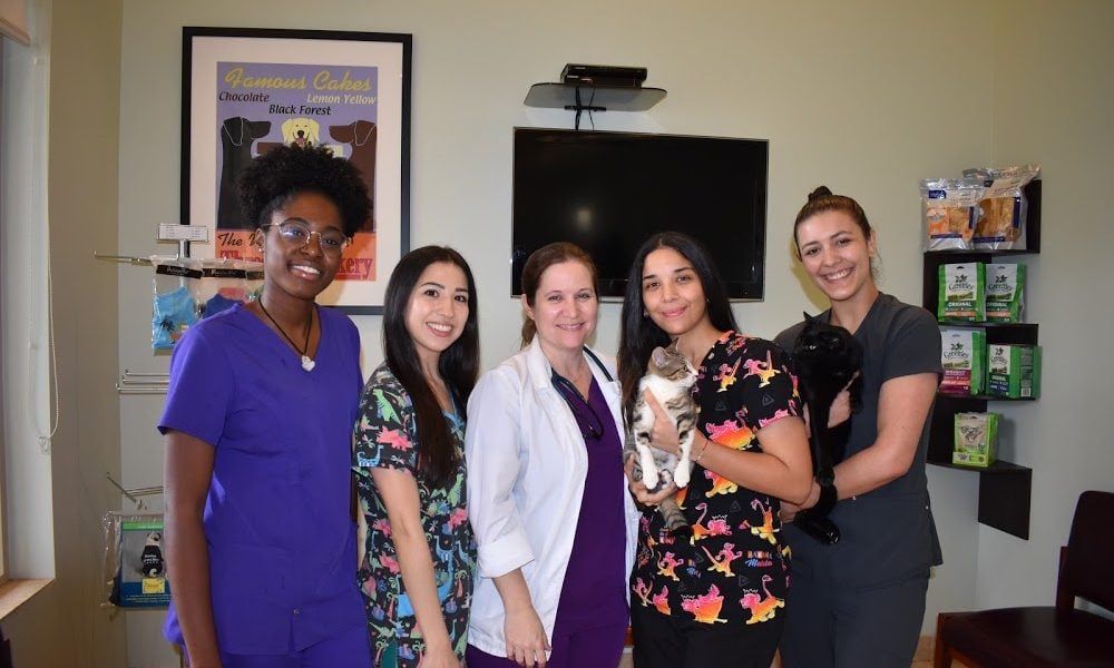 Palm View Animal Hospital