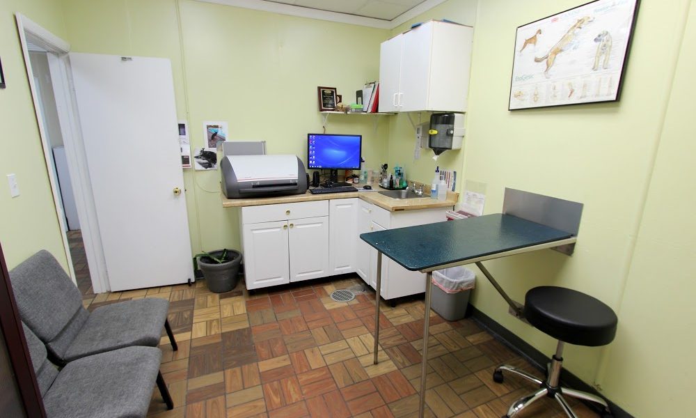 Pet House Animal Clinic
