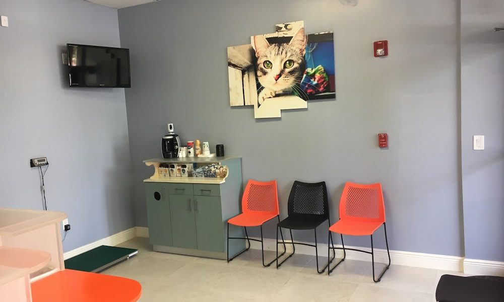 Pet Med Animal Clinic