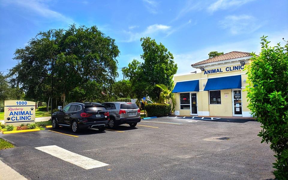 Rasberry Animal Clinic