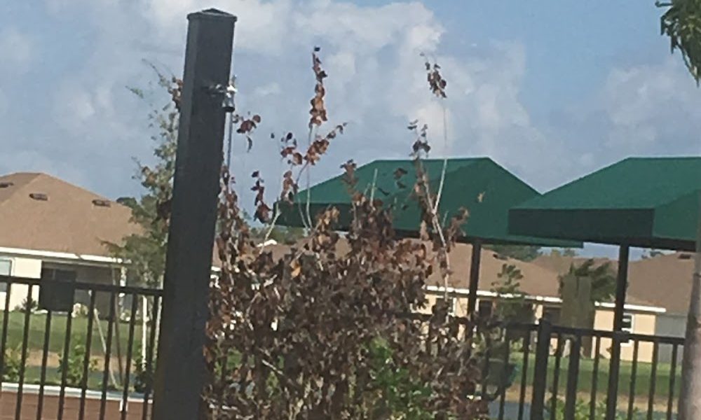 Real Estate Development Group