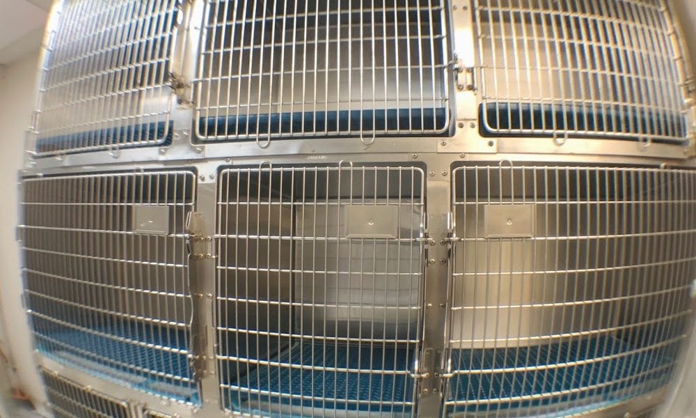 St. Francis Veterinary Clinic