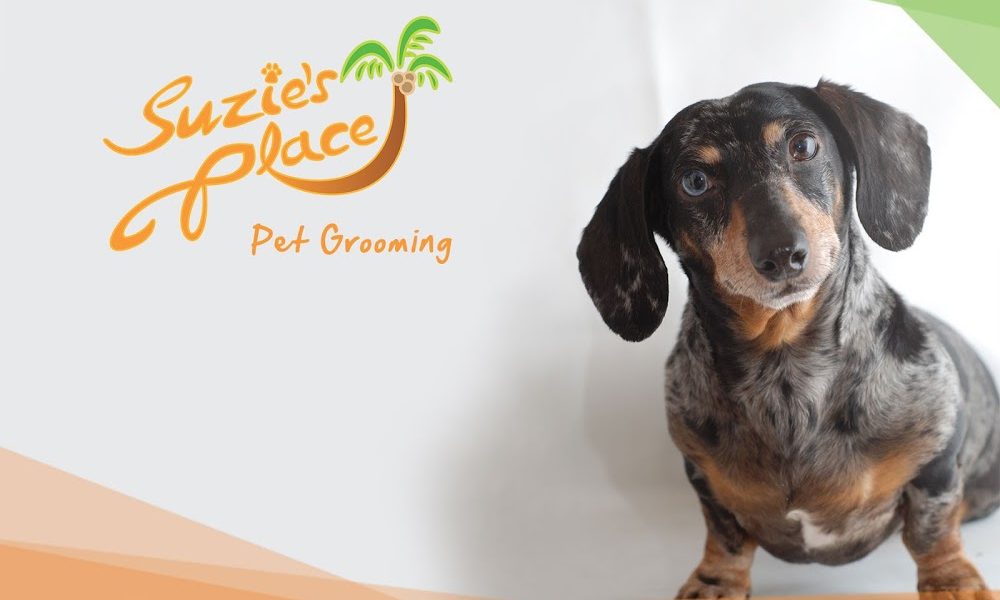 Suzie’s Place Pet Grooming