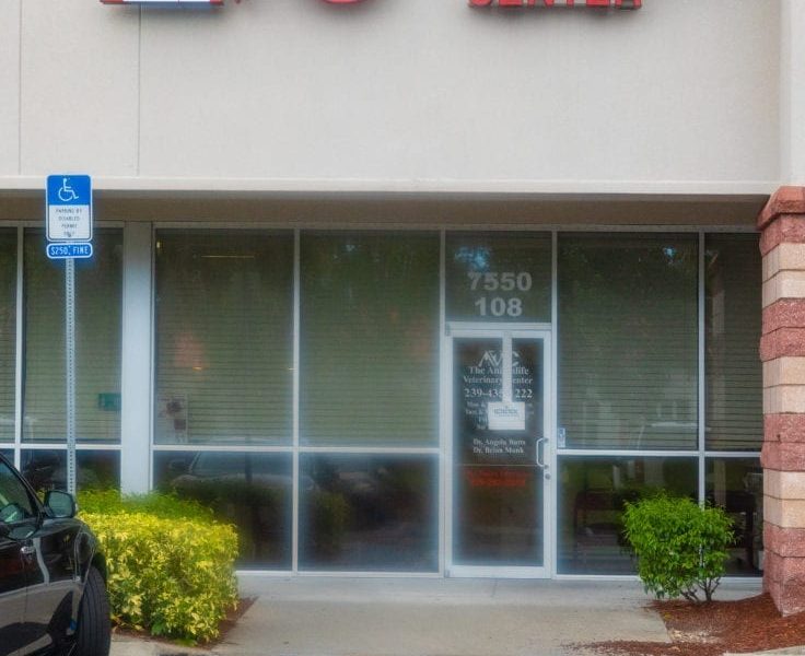 The Animalife Veterinary Center at Mission Hills
