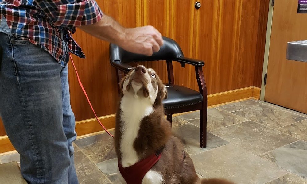 Thomasville Animal Hospital