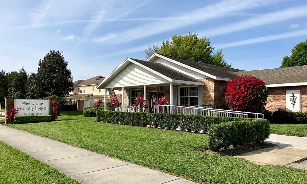 West Orange Veterinary Hospital