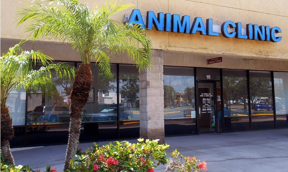 Animal Clinic of Merritt Island