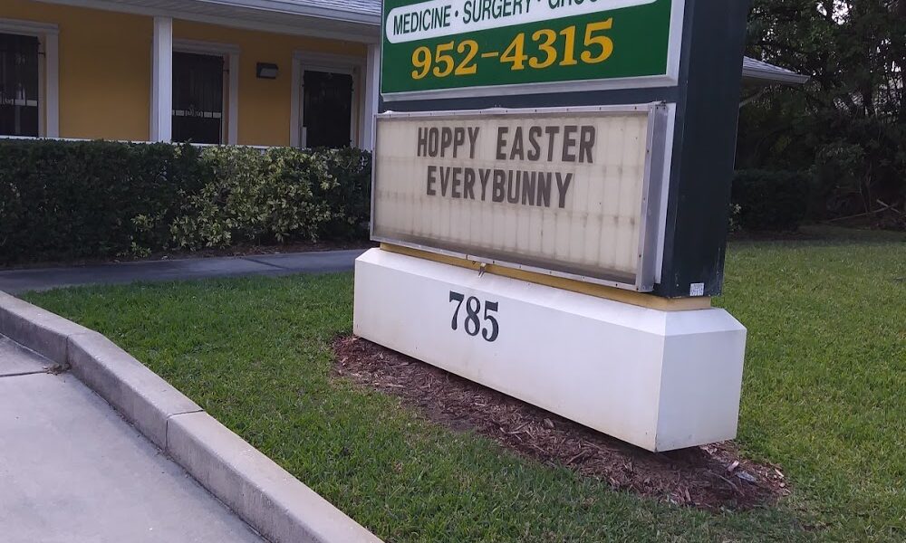 Animal Hospital of Palm Bay