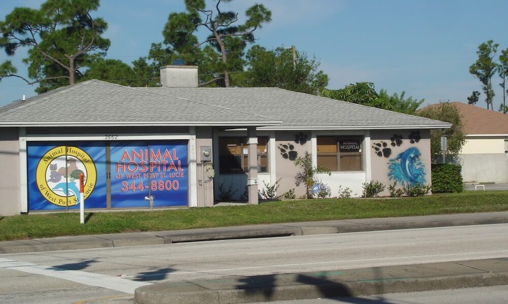 Animal Hospital of West Port Saint Lucie