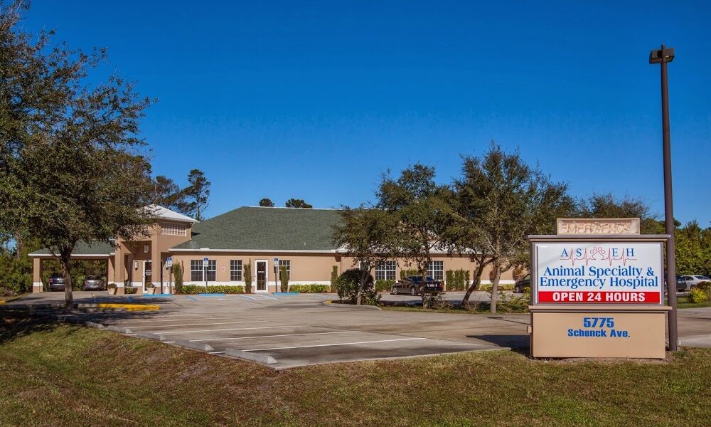 Animal Specialty & Emergency Hospital