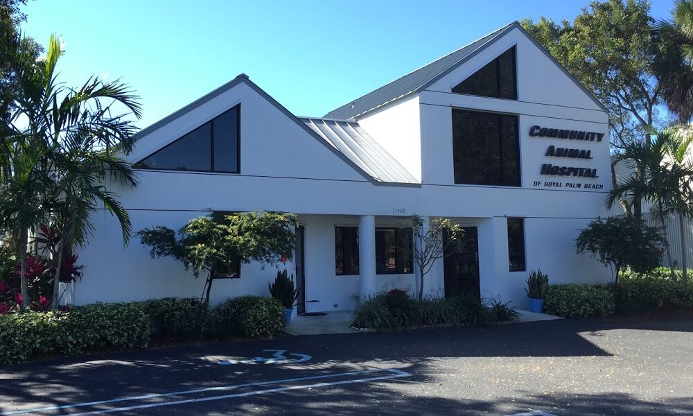 Community Animal Hospital of Royal Palm Beach