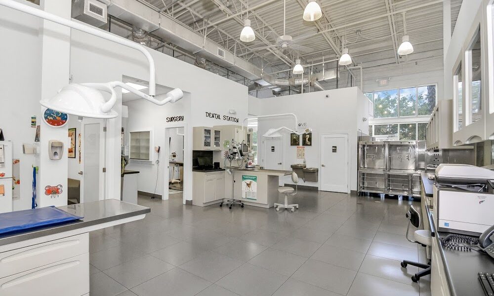 Concierge Veterinary Hospital