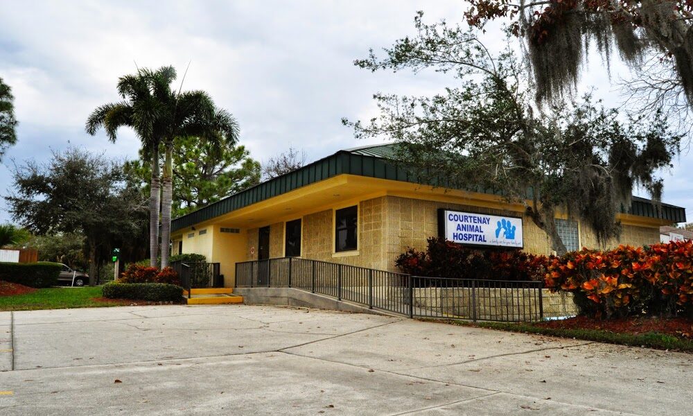 Courtenay Animal Hospital