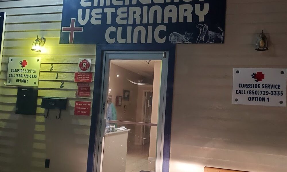 Emergency Veterinary Clinic