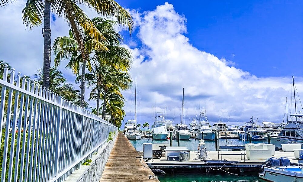 Florida Yachts Charters