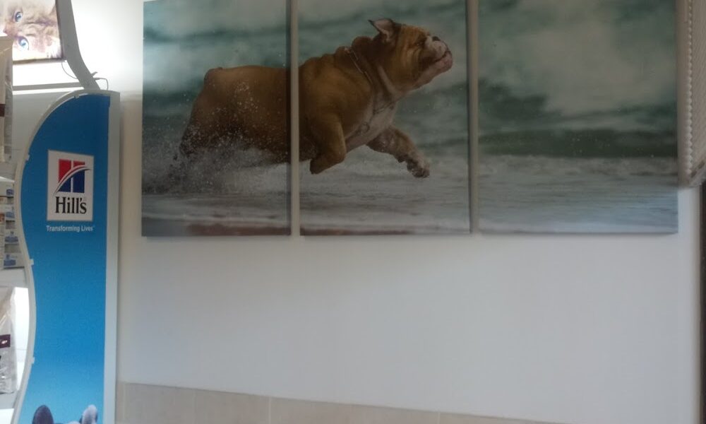 Greenacres Veterinary Clinic