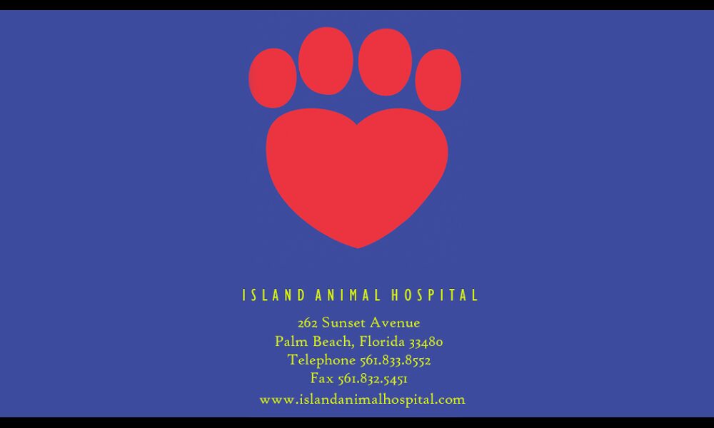 Island Animal Hospital