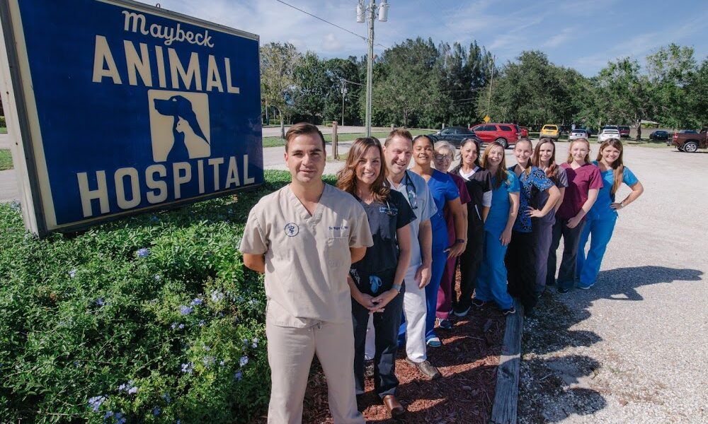 Maybeck Animal Hospital