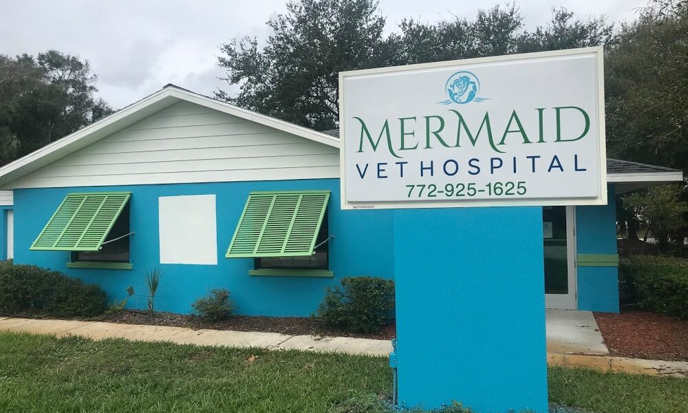 Mermaid Vet Hospital