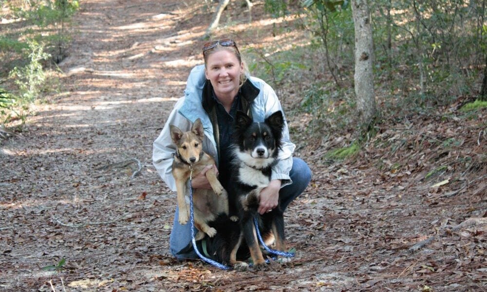 Midbay Veterinary Hospital