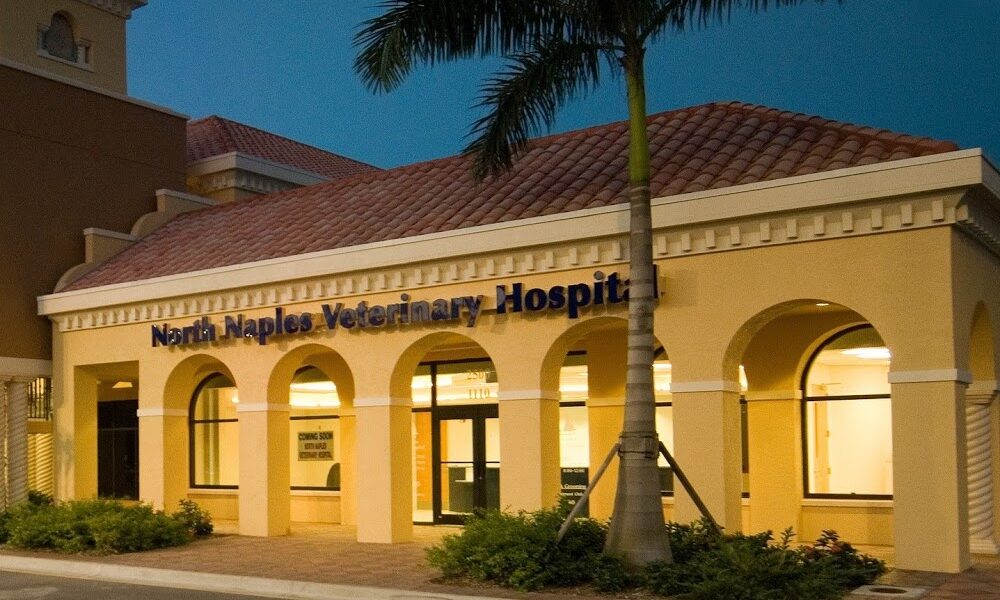 North Naples Veterinary Hospital