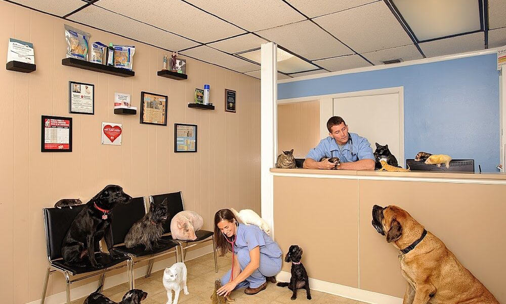 Palm Bay Animal Clinic