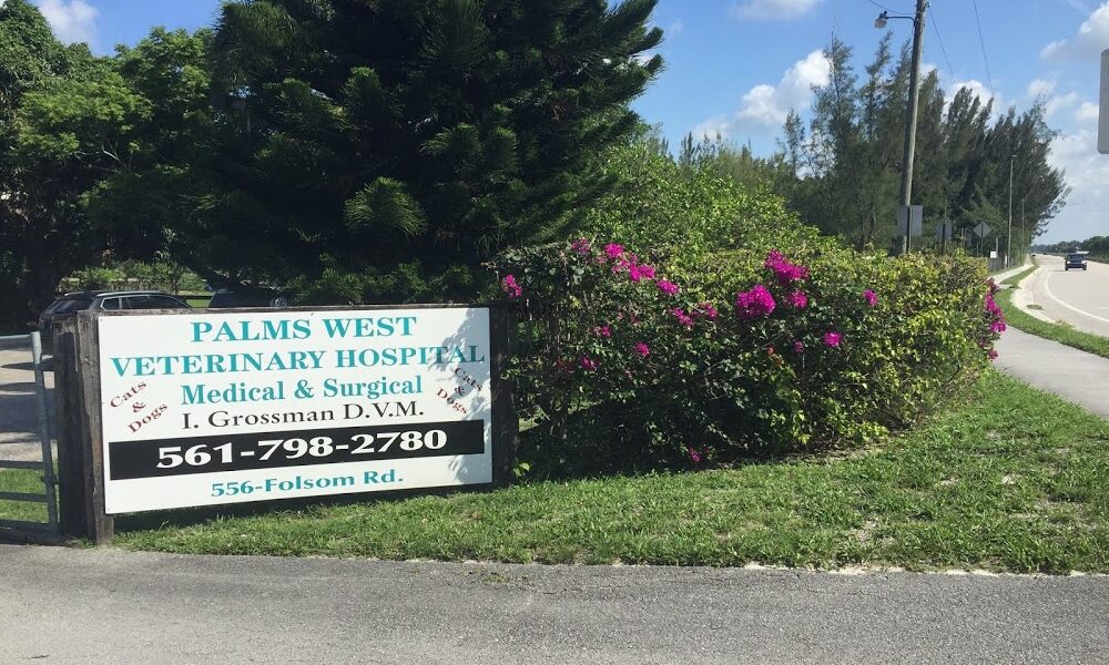 Palms West Veterinary Hospital