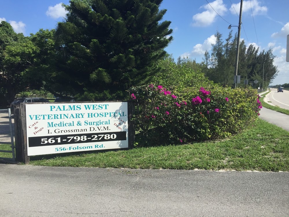 Palms West Veterinary Hospital