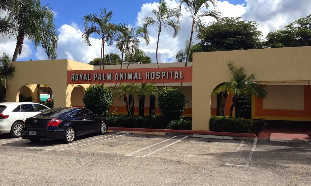 Royal Palm Veterinary Center