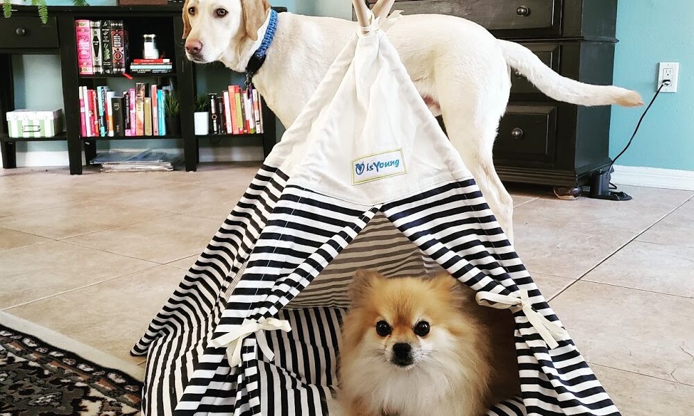 Rubio Pet Hospital