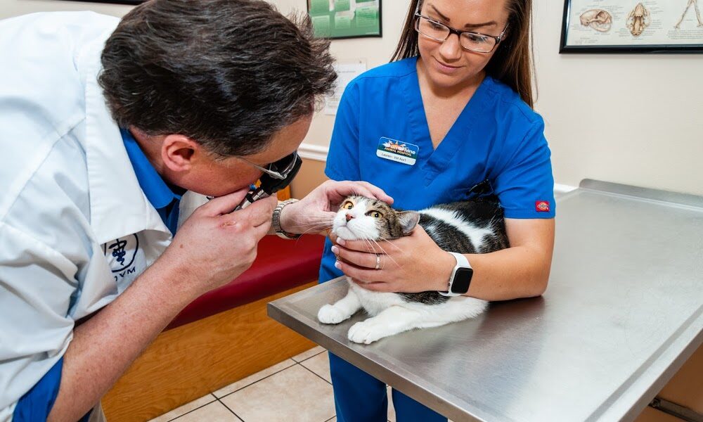 SunShine Animal Hospital of Melbourne