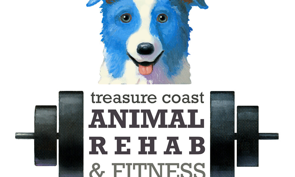Treasure Coast Animal Rehabilitation & Fitness